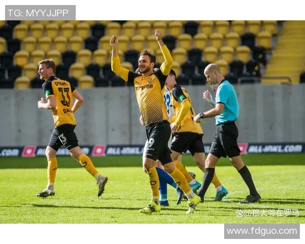 德累斯顿与汉堡比赛是否会延期的最新消息与分析